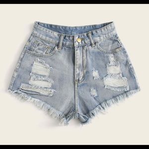PLUS Ripped Raw Hem Jean Shorts - 2XL